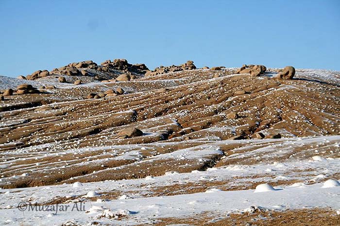 Daikundi-Nili-jan-2011