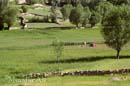 Bamyan-Dara-Chast-valley-in-Yakawlang