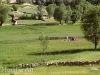 bamyan-dara-chast-valley-in-yakawlang